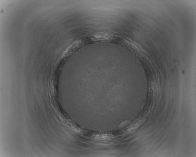 X0000063460751200601271604