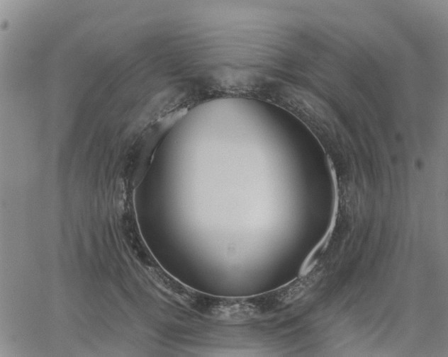 X0000063460752200601271604