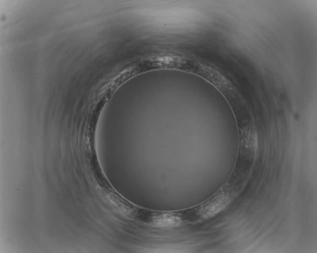 X0000063460754200601271604