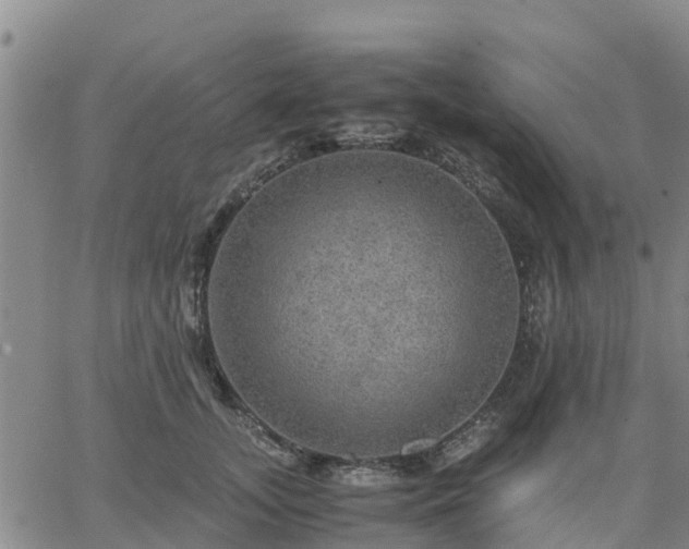 X0000063460755200601271604