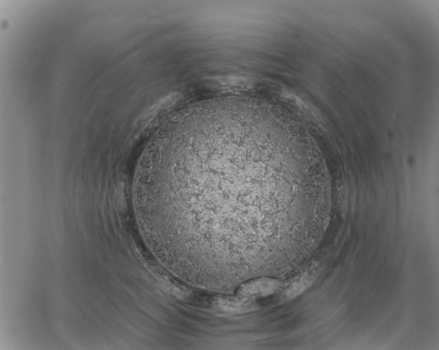 X0000063460757200601271604