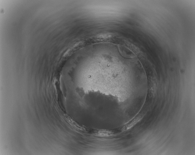 X0000063460758200601271604