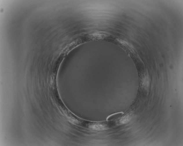 X0000063460759200601271604