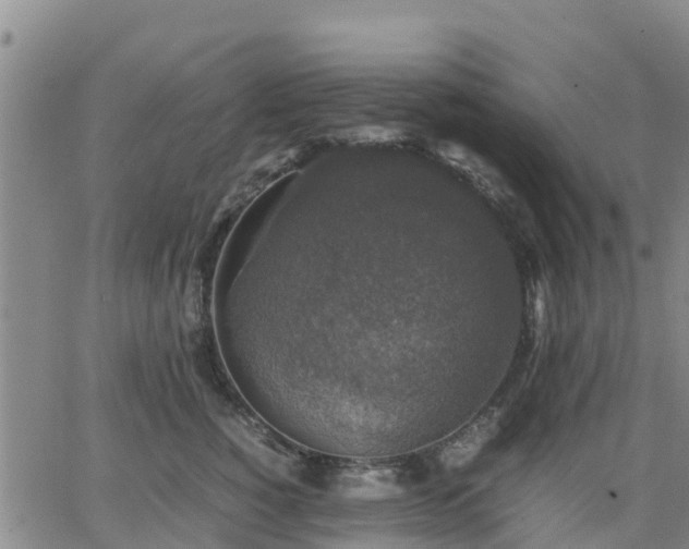 X0000063460760200601271604