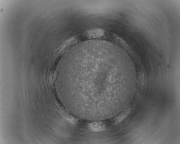 X0000063460761200601271604