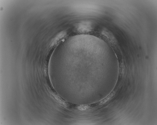 X0000063460762200601271604