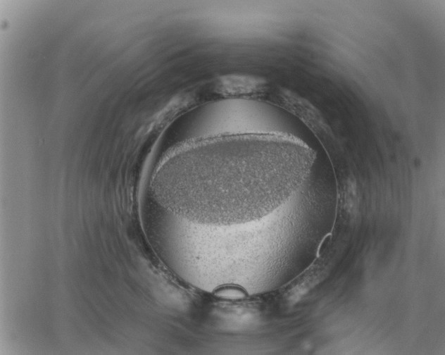 X0000063460763200601271604