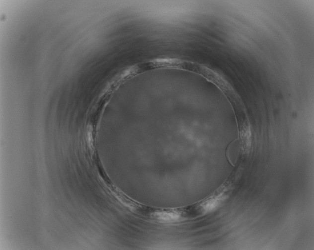 X0000063460765200601271604