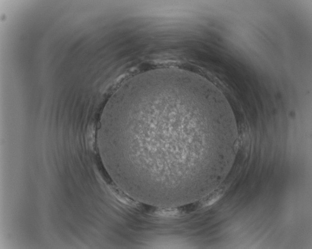 X0000063460767200601271604