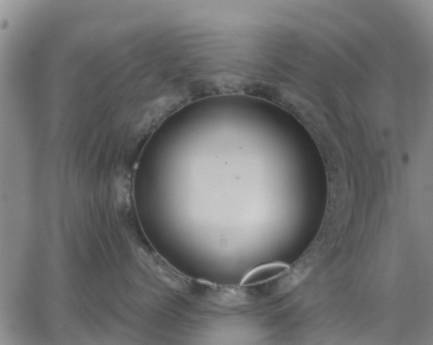 X0000063460768200601271604