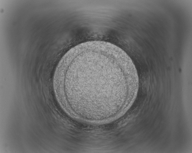 X0000063460769200601271603