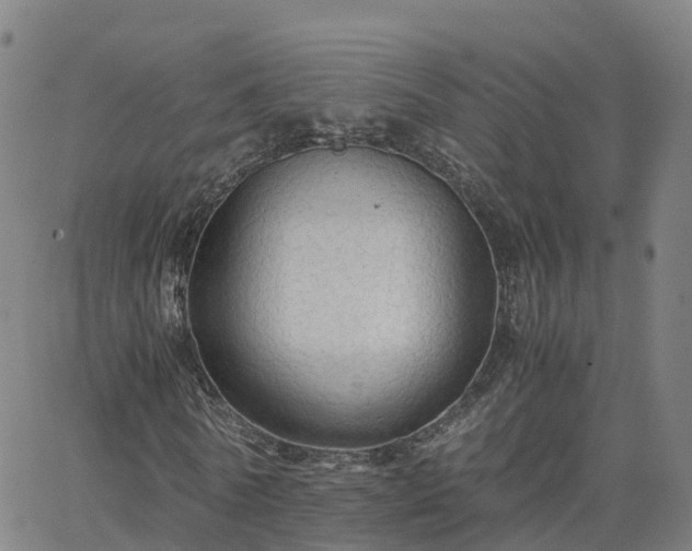 X0000063460770200601271603