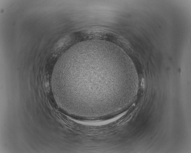 X0000063460771200601271603