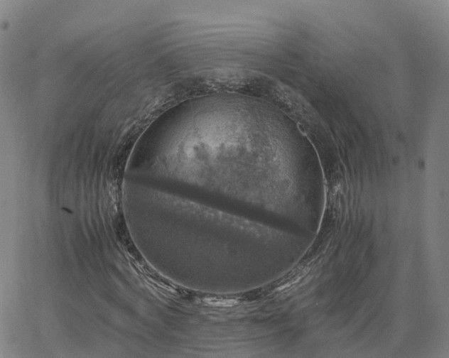 X0000063460772200601271603