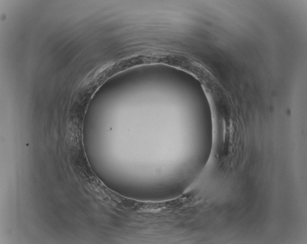 X0000063460773200601271603