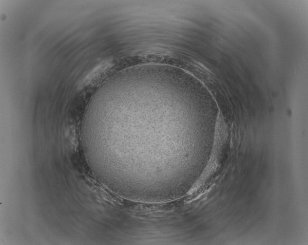 X0000063460774200601271603