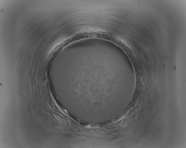 X0000063460775200601271603