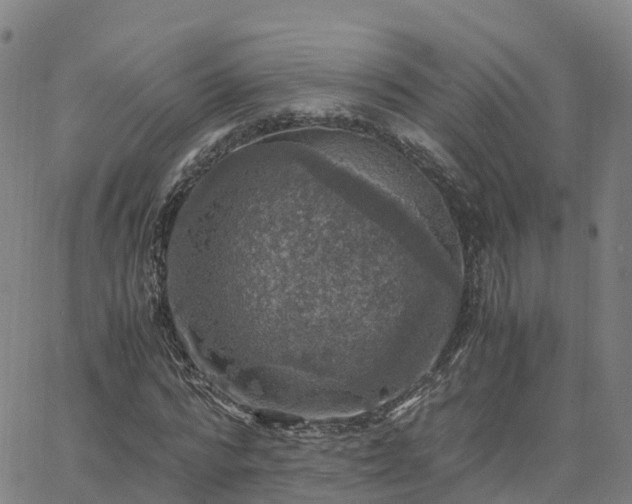 X0000063460776200601271603