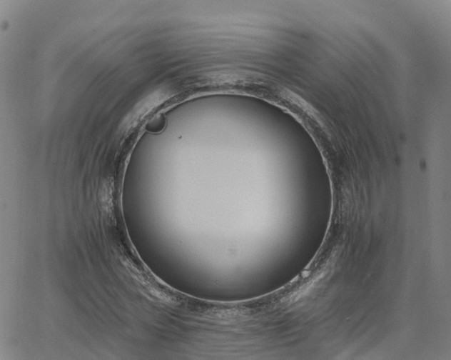 X0000063460778200601271603