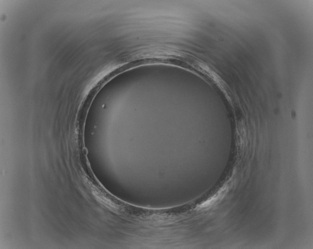 X0000063460779200601271603