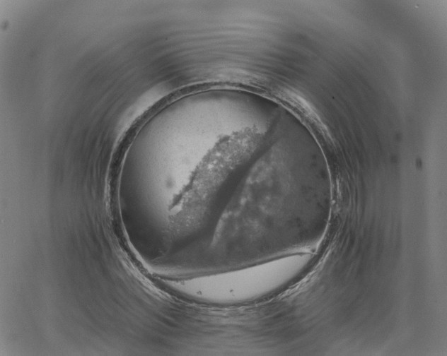 X0000063460780200601271603