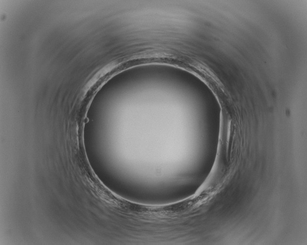 X0000063460781200601271603