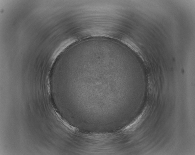 X0000063460782200601271603