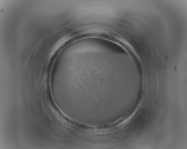 X0000063460783200601271603