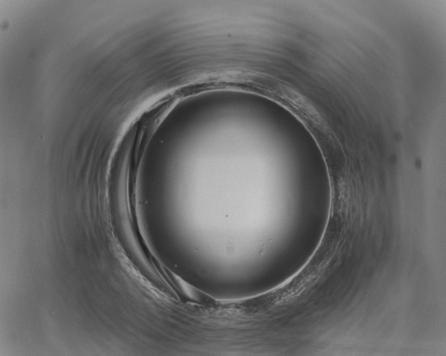 X0000063460784200601271603