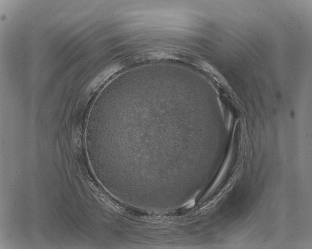 X0000063460785200601271603