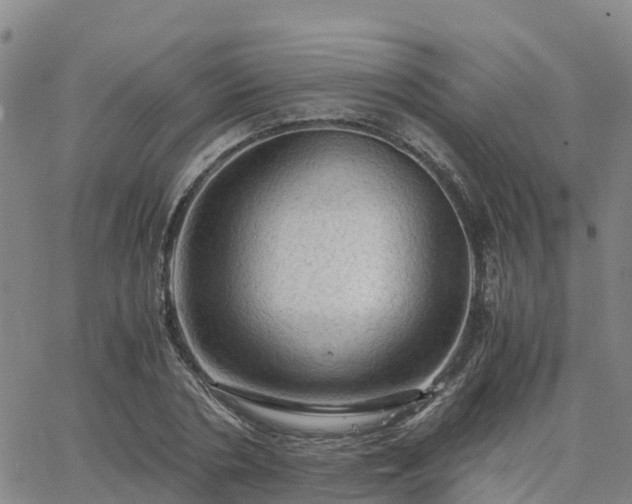 X0000063460786200601271603