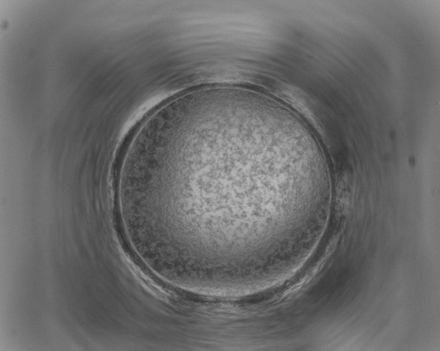 X0000063460787200601271603