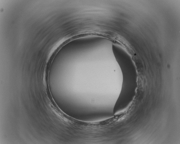 X0000063460788200601271603