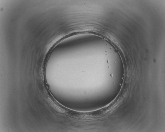 X0000063460789200601271603