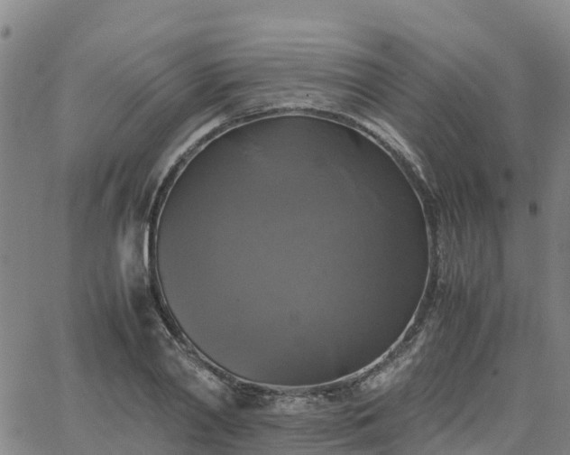 X0000063460790200601271603