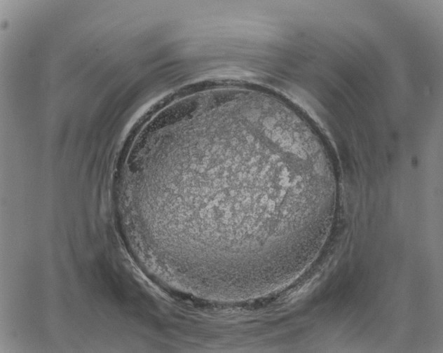 X0000063460791200601271603