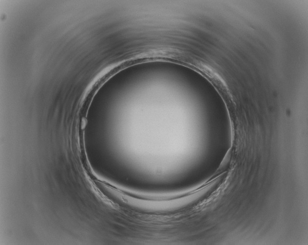 X0000063460792200601271603