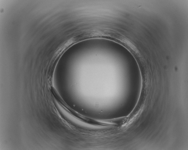 X0000063460793200601271603