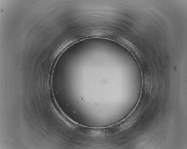 X0000063460794200601271603