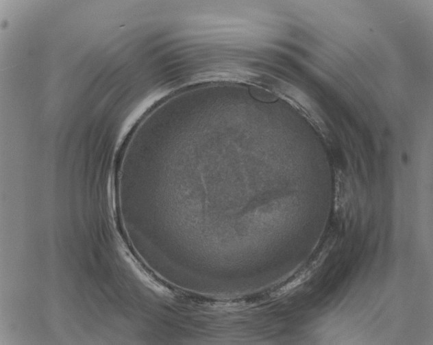 X0000063460796200601271603