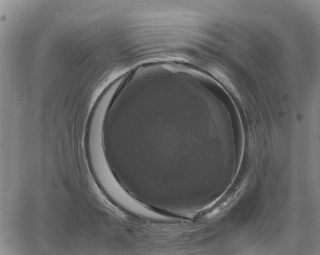 X0000063460797200601271603