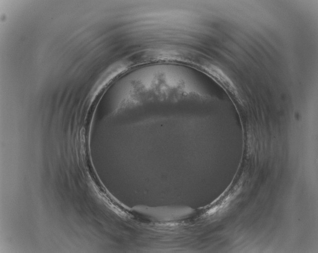 X0000063460798200601271603