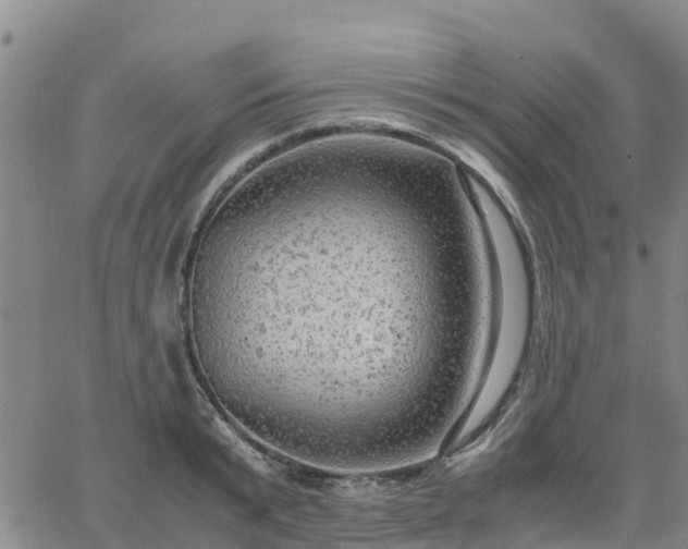 X0000063460799200601271603