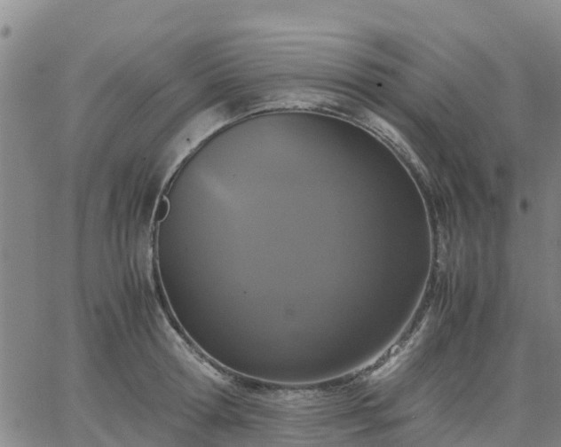 X0000063460802200601271603