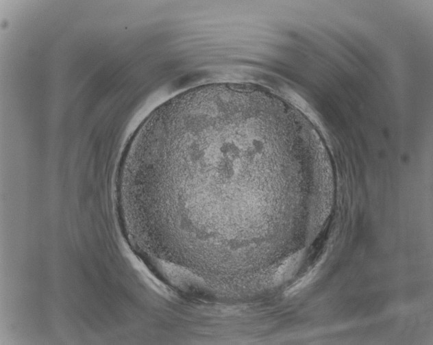 X0000063460803200601271603