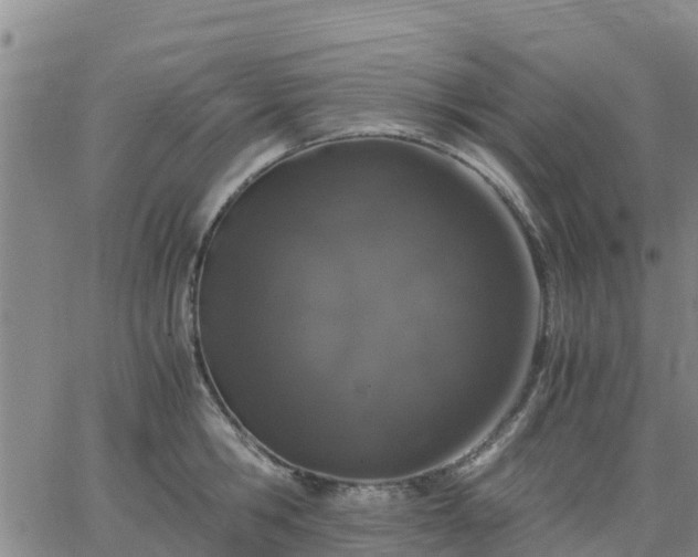 X0000063460806200601271603