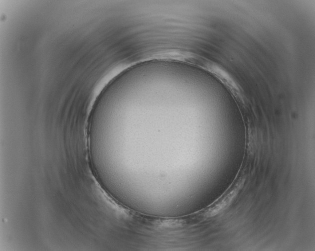 X0000063460808200601271603