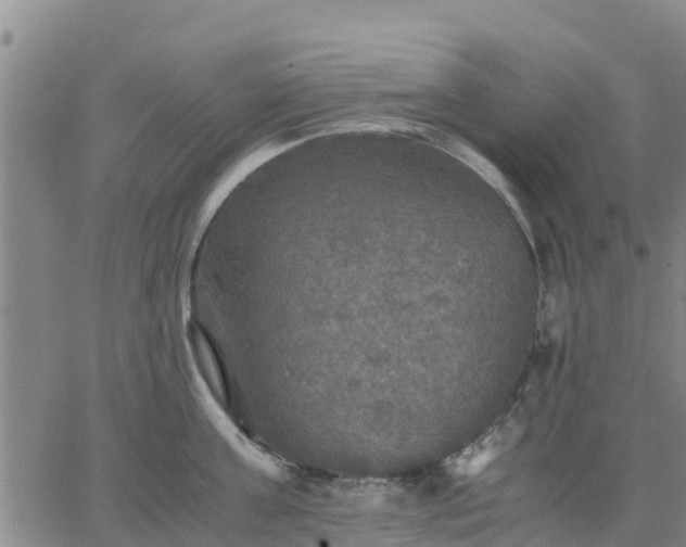 X0000063460811200601271603