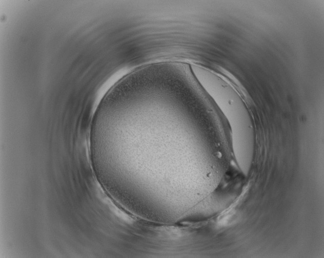 X0000063460812200601271603