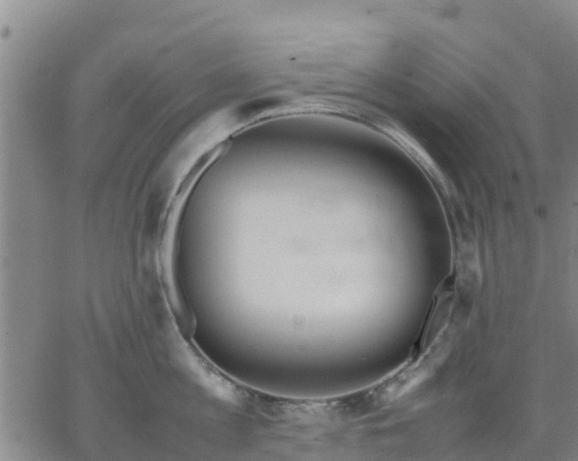 X0000063460813200601271603